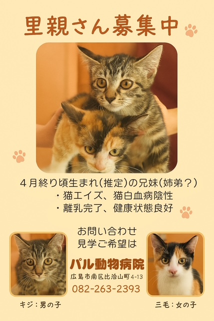 里親さん募集