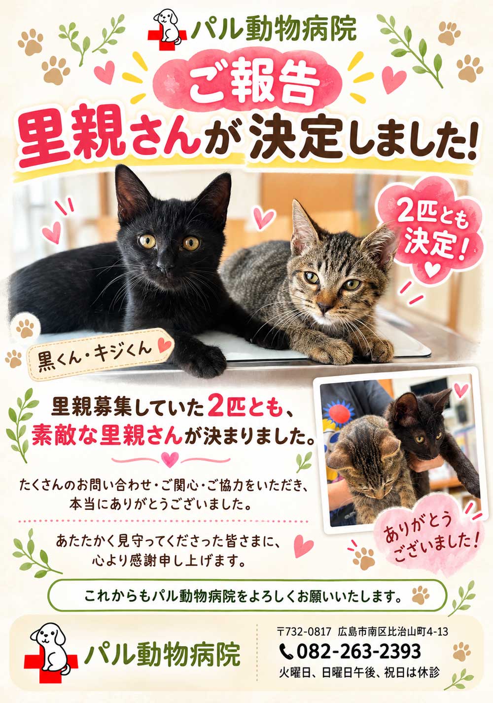 ご報告と感謝！ | 社長日記 | ブログ | Web制作・SNS広告・経営コンサル｜広島